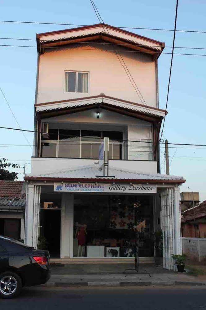 Blue Elephant Tourist Guesthouse Kudapaduwa Luaran gambar